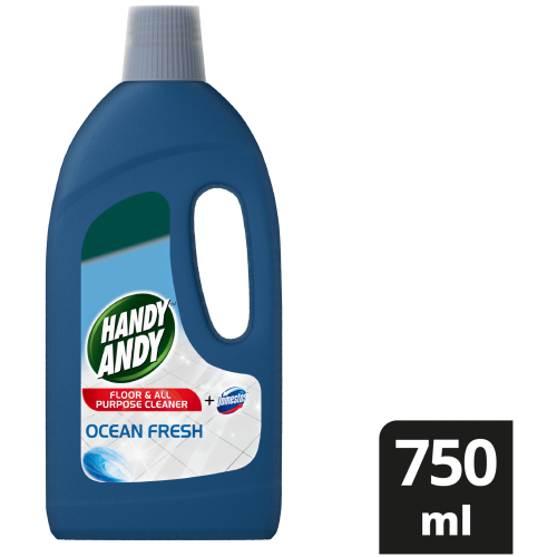 Handy Andy 