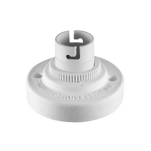 [Z5903] Globe holder